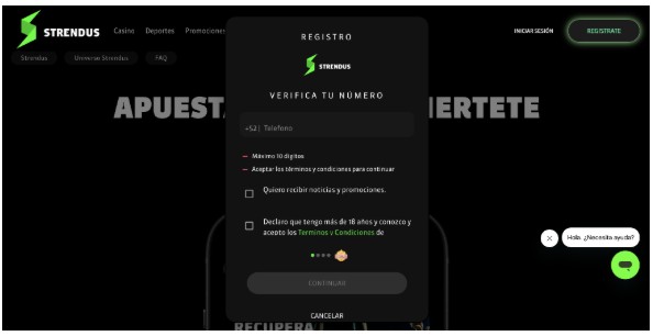 Registro Strendus Mexico paso 2